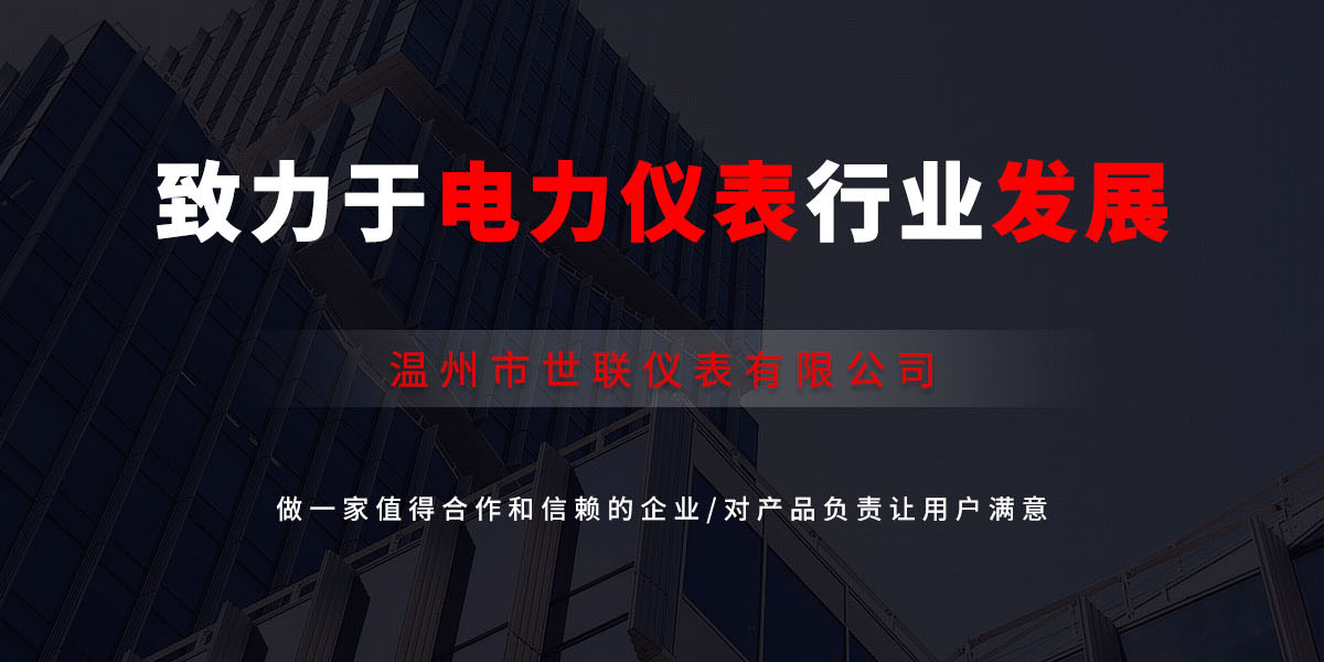 温州市世联仪表有限公司