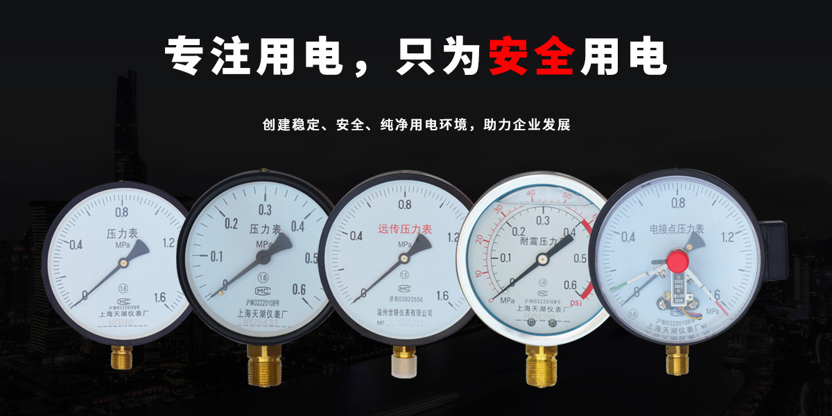 温州市世联仪表有限公司